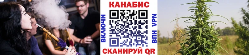 Каннабис ГИДРОПОН Мичуринск